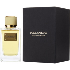 Nước hoa, dầu thơm Dolce & Gabbana Velvet Mimosa Bloom Eau De Parfum