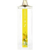 Pop Delights 01 eau de toilette cho Nữ